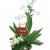Arrangement of Cut Flowers