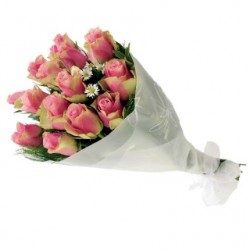 Bunch of Pink Roses
