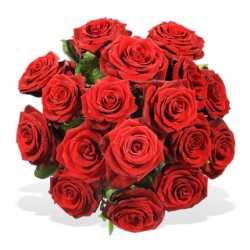 Einfach rote Rosen