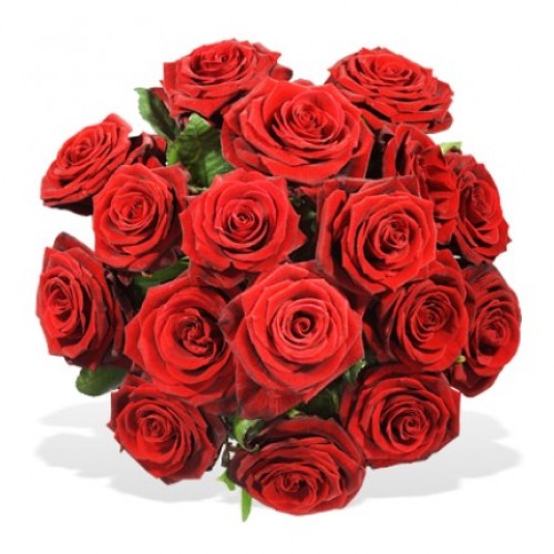 Einfach rote Rosen