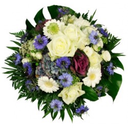 Little Prince