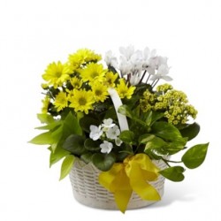 A Bit of Sunshine Basket