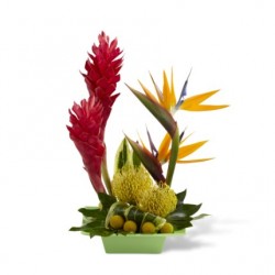 Exotica Arrangement