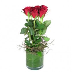 6 Red Roses In Vase