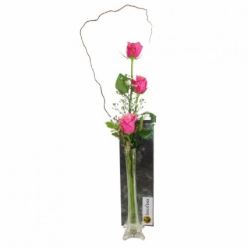 3 Roses - Pink