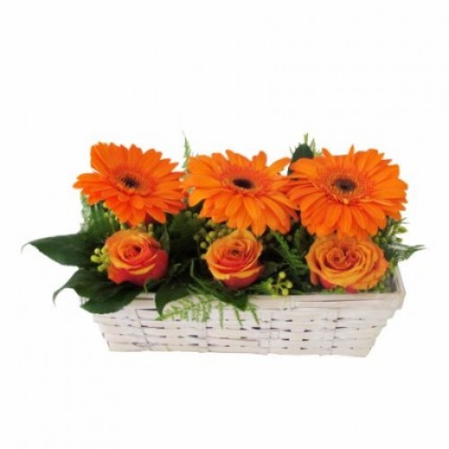 Gerbera Basket - Orange