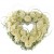 Bleeding Heart